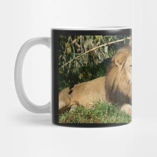 King Of The Jungle Mug